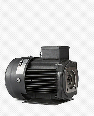 ELECTRIC MOTOR for HYDRAULIC SERIES